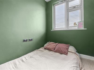 Picture 11